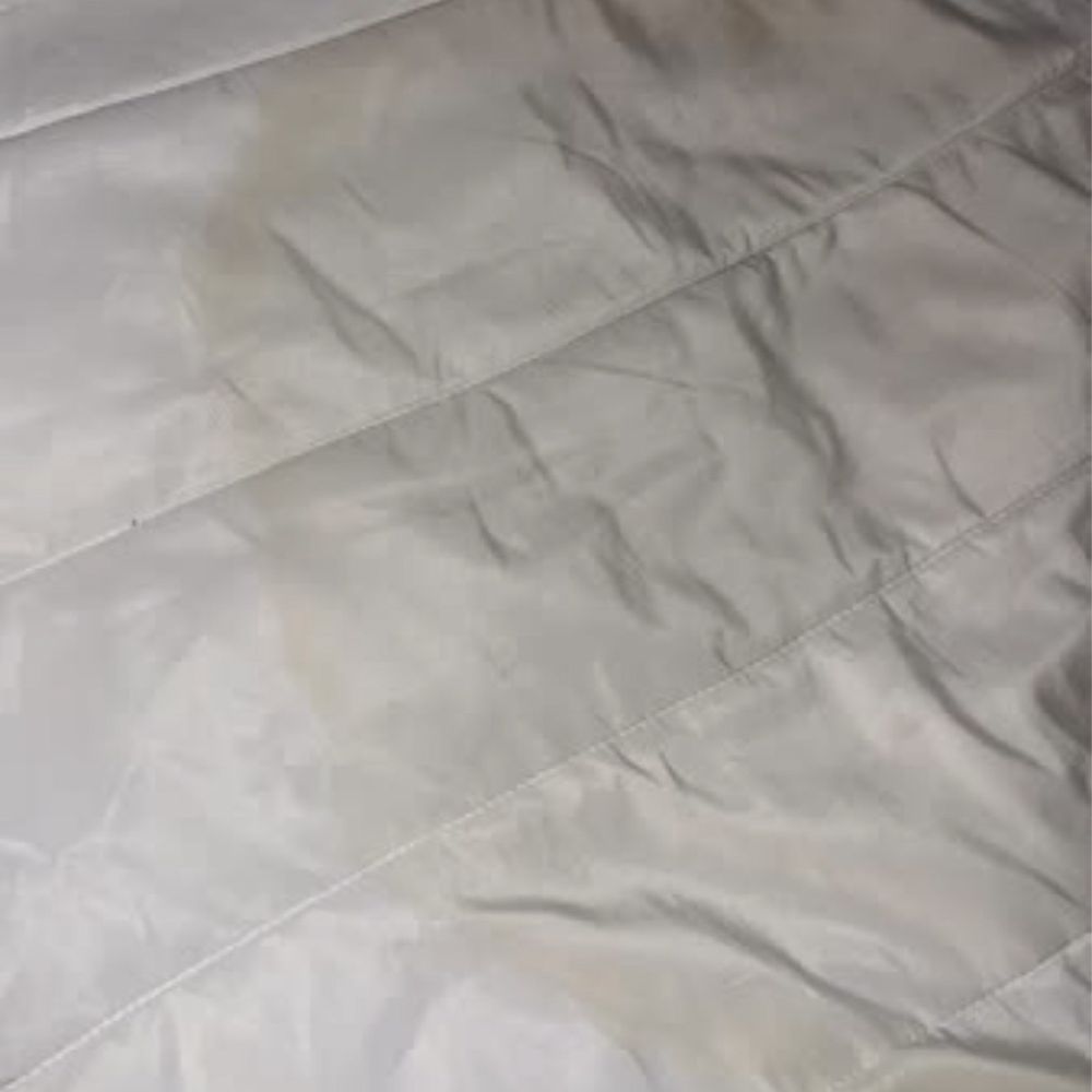 Days Inn by Wyndham Morehead - More stains - Hotels Near Me - Morehead, Kentucky