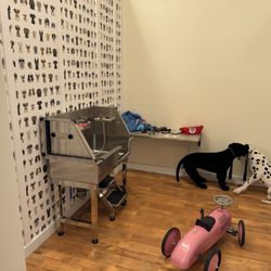 Mama Bear’s Play Cafe - Vet clinic. My son loved this