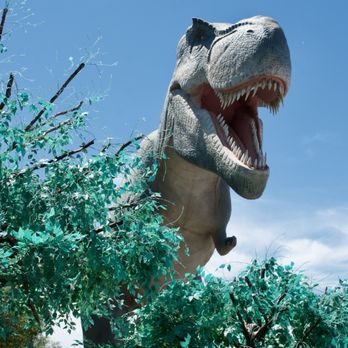 Yellowstone Bear World - Just a big dino and his little arms. - Zoos Near Me - Rexburg, Idaho Yellowstone Bear World - Just a big dino and his little arms. - Zoos Near Me - Rexburg, Idaho