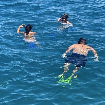 E Sea Diver - Snorkeling with fish and turtles - Snorkeling Near Me - Honolulu, Hawaii