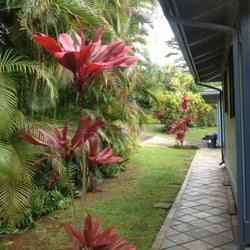 Colorful  foliage in front of kitchen