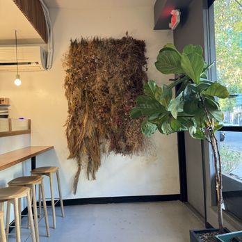 Scorpio Coffee - Coffee & Tea Near Me - Sacramento, California Scorpio Coffee - Coffee & Tea Near Me - Sacramento, California