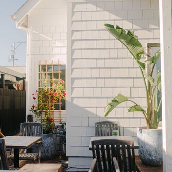 Blue Whale - Outside patio - Cafes Near Me - La Jolla, California Blue Whale - Outside patio - Cafes Near Me - La Jolla, California