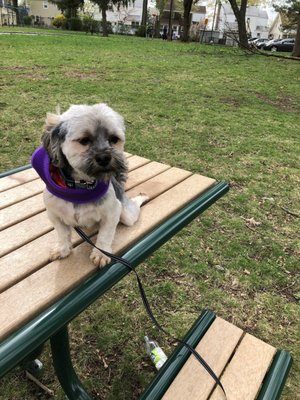 Animal Kingdom East Orange 63 Photos 16 Reviews Pet Stores 436 Main St East Orange Nj Phone Number Yelp
