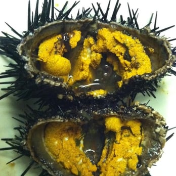 Non Solo Pasta - Fresh sea urchin - Italian Near Me - Morrisville, Pennsylvania