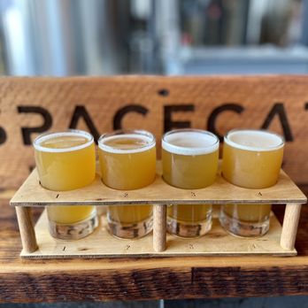 Spacecat Brewing - Beer flight - Brewpubs Near Me - Norwalk, Connecticut