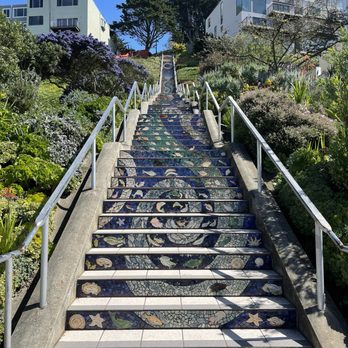 The 16th Avenue Tiled Steps - Local Flavor Near Me - San Francisco, California The 16th Avenue Tiled Steps - Local Flavor Near Me - San Francisco, California