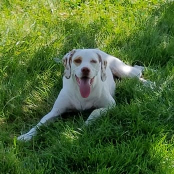 Bed & Biscuit Kennel - Pet Sitting Near Me - Frankford, Delaware Bed & Biscuit Kennel - Pet Sitting Near Me - Frankford, Delaware