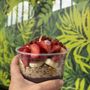 Photo of Bowl'D Acai