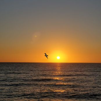 Clearwater Beach - Sunset extraordinaire - Beaches Near Me Clearwater Beach - Sunset extraordinaire - Beaches Near Me