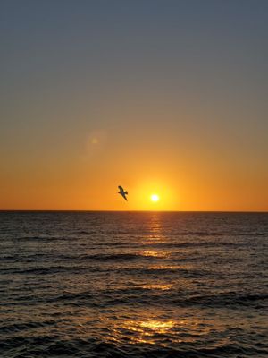 Clearwater Beach by null