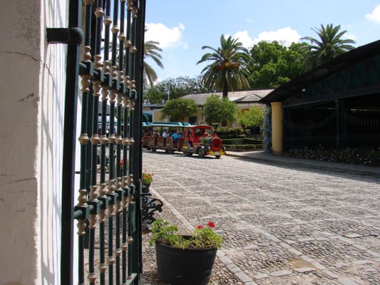 Gonzalez Byass by null