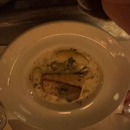 Salmon