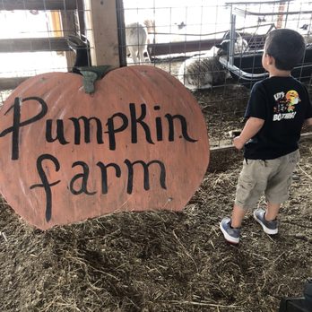 Preston Trail Farms - Petting zoo - Hardware Stores Near Me - Gunter, Texas Preston Trail Farms - Petting zoo - Hardware Stores Near Me - Gunter, Texas