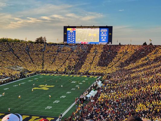 Michigan Stadium by null