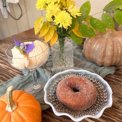 Fresh & Fancy Farms - Dessert- Apple cider donuts and pumpkin gelato