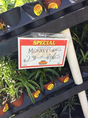 Walmart Supercenter by null