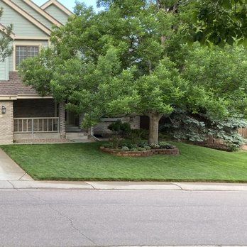 Rose Bug Lawn Care - Lawn Services Near Me Rose Bug Lawn Care - Lawn Services Near Me