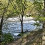 Photo of Fitzgerald Park