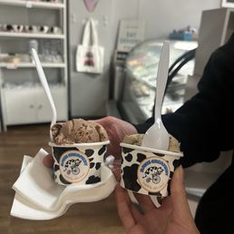 Single scoop