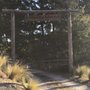 Photo of Mangy Moose Lodge