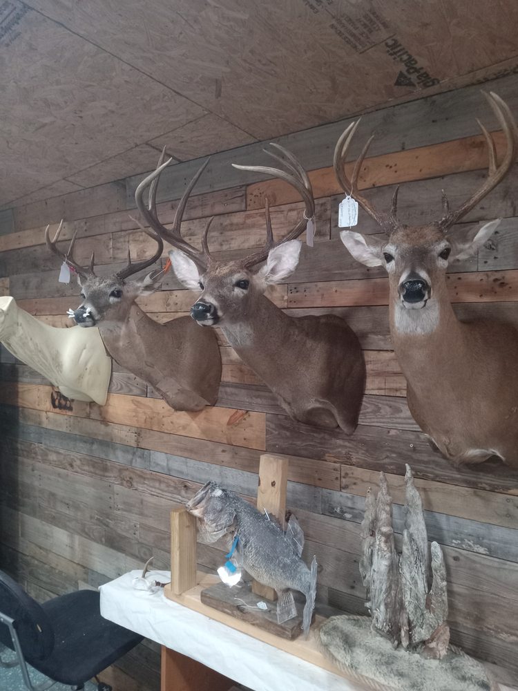 Tony's Trophy Mounts - taxidermy in Vero Beach, FL