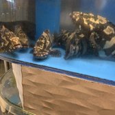 Photo of Ping's Seafood - New York, NY, United States