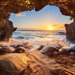 Andrew Shoemaker Photography - "Honu Heaven" is one of our most popular photographs which Andrew won an award for.
