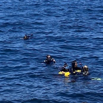 Diving Catalina - Snorkeling - Scuba Diving Near Me - Avalon, California Diving Catalina - Snorkeling - Scuba Diving Near Me - Avalon, California