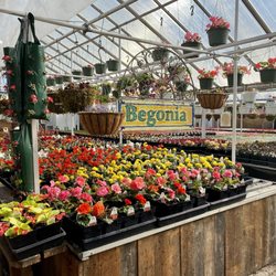 Plant Land