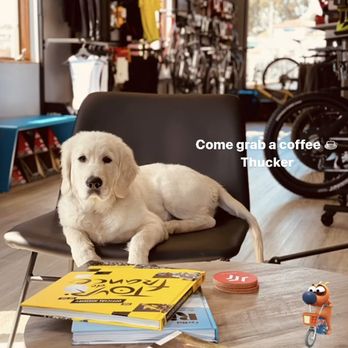 The Bike House - Shop - Bikes Near Me - San Clemente, California The Bike House - Shop - Bikes Near Me - San Clemente, California