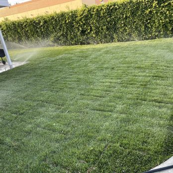 SM Landscaping - Lawn - Landscaping Near Me SM Landscaping - Lawn - Landscaping Near Me