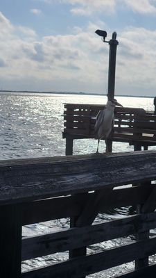 Sylvan Beach Park by null