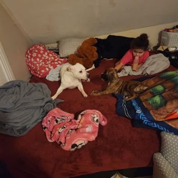 The Puppy Palace - prince marabwlle and my dsughter aurore the gang - Pet Stores Near Me - Manchester, New Hampshire