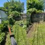 Photo of Cost Cutting Lawncare