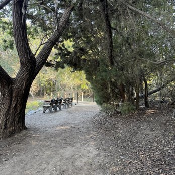 El Dorado Nature Center - Sit and watch the scenery - Parks Near Me - Long Beach, California El Dorado Nature Center - Sit and watch the scenery - Parks Near Me - Long Beach, California