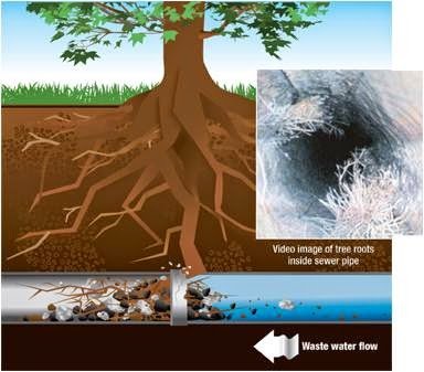 Slide of ASAP Sewer & Drain Cleaning | Neenah