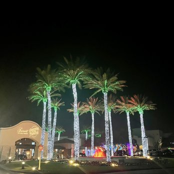 PLAZA BAR - palm trees lit up at night - Cocktail Bars Near Me - Scottsdale, Arizona PLAZA BAR - palm trees lit up at night - Cocktail Bars Near Me - Scottsdale, Arizona