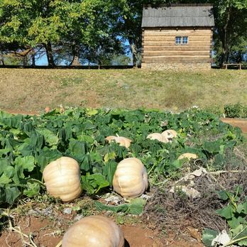 Thomas Jefferson's Monticello - Vegetable gardens - Landmarks & Historical Buildings Near Me - Charlottesville, Virginia