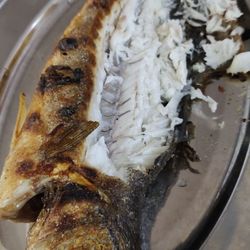 Churrasqueira Mercado de Alvor - Sea bass
