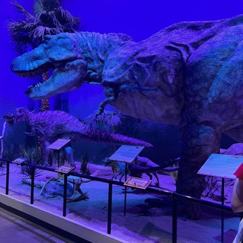 Creation Museum - Lots of fun - Museums Near Me - Petersburg, Kentucky