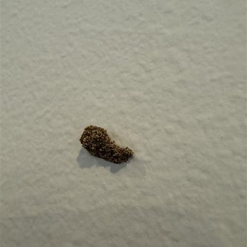 Super Pest Services - Small holes like this one in your dry wall could be a sign of termites! - Pest Control Near Me - Denton, Texas
