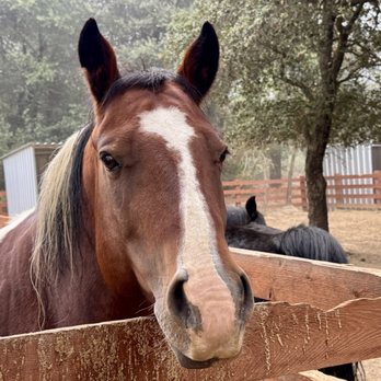 The Stables - Sacred Mountain - Horseback Riding Near Me - Julian, California
