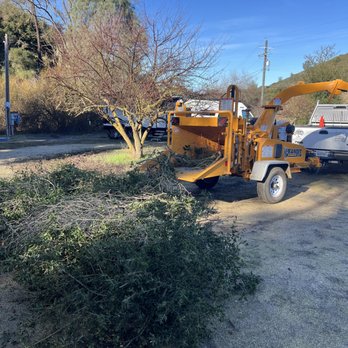 Luis’s Tree Care - No mess left behind - Tree Services Near Me - Atascadero, California