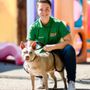 Photo of Gilbert Dogs 24/7