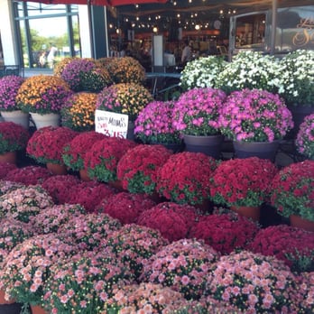 Nino Salvaggio International Marketplace - Holy mums. - Grocery Near Me - Troy, Michigan Nino Salvaggio International Marketplace - Holy mums. - Grocery Near Me - Troy, Michigan