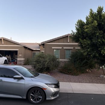 AC Tree Services - Before pic - Tree Services Near Me AC Tree Services - Before pic - Tree Services Near Me