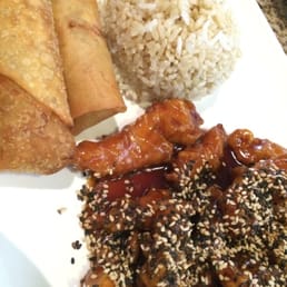 20 Spring Roll Tray