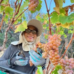 Malibu Bella Vista - Jani Helping with harvest