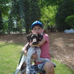 Fetch Pet Care Apex Cary